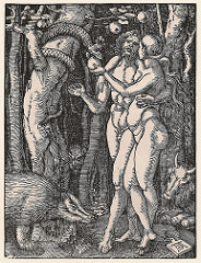 Fall of Man by Durer, 16th cen n ren
- High musculature, smaller heads are important, attempt at softness,
- Eve - not really either N or S ideals, italian musculature subtly
- N Landscape setting
- Observational skills, very textured/ detil
- Iconography - animals represent 4 humors - personality 
- Greek idea of bodily fluids 
- tension of cat and mouse - relationship of adam and eve, tension,
- attempt at classical statuary - individualized features, engraving off of mocels, detailing