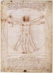 Leonardo Da Vinci (1452-1519)
Vitruvian Man 
1487